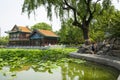 Asia China, Beijing, Longtan Lake Park, Summer landscape, Lotus pond, the marble boat